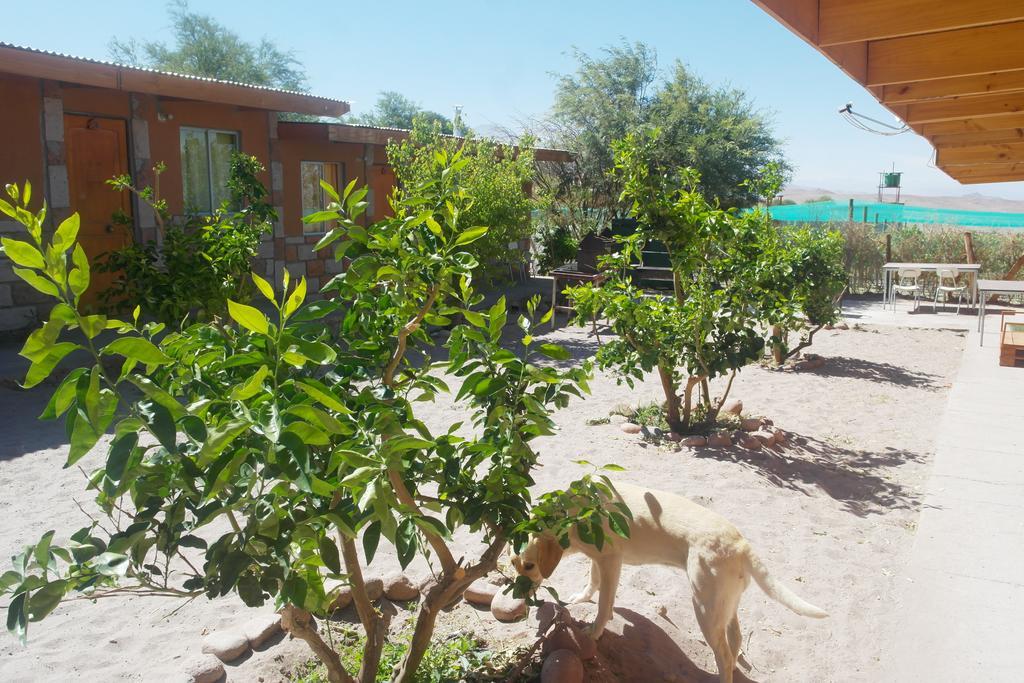 Complejo Turistico El Toconar Villa Toconao Exterior foto