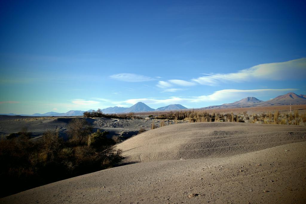 Complejo Turistico El Toconar Villa Toconao Exterior foto